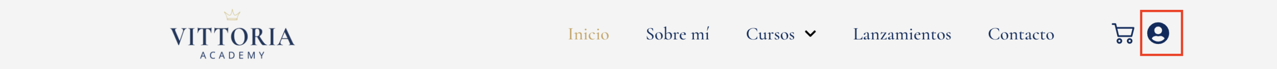 Icono de usuario para iniciar sesión en Vittoria Academy